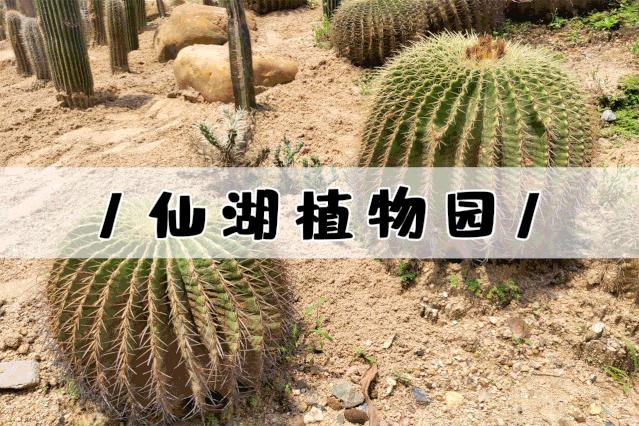 深圳遛娃必去景点免费过年,深圳适合儿童游玩的公园