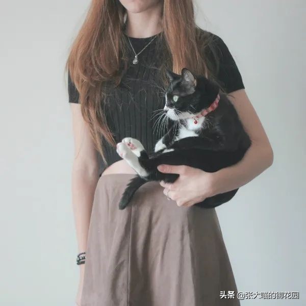 有人说养猫对生育功能有影响,养猫会提高对尘螨的免疫力么