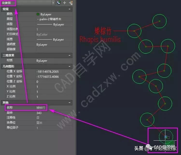 cad统计苗木数量,cad统计苗木数量快捷键