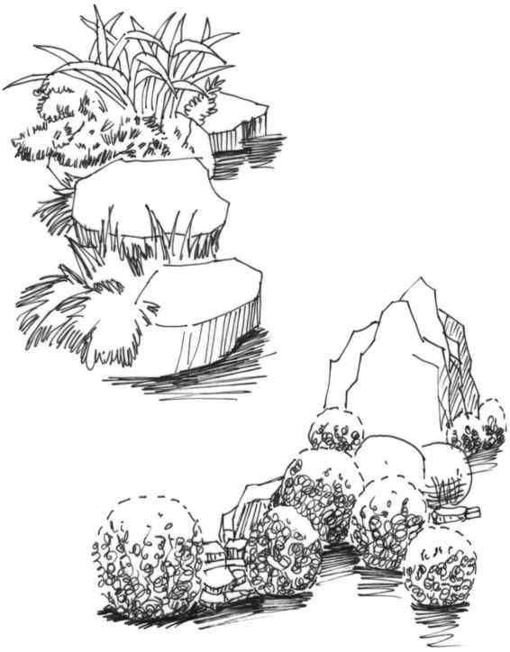 速写风景初学者入门教程,速写风景初学者入门教程植物