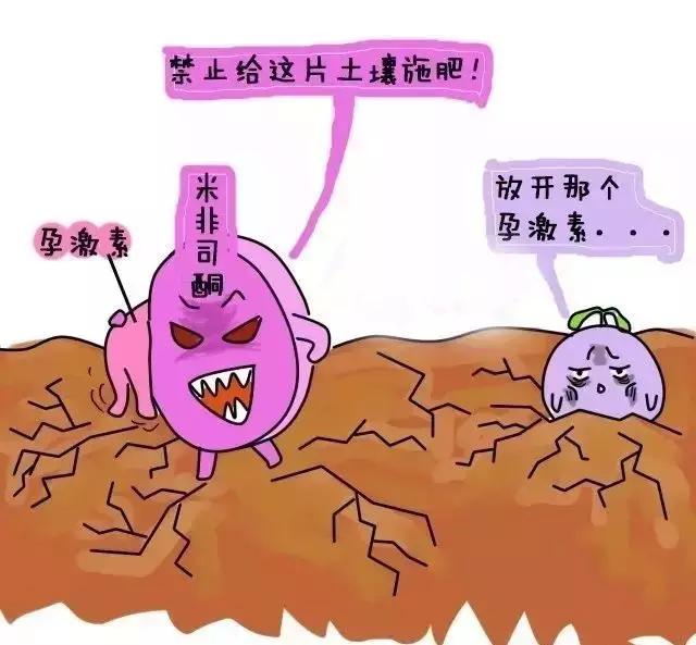 药流和人流的区别?一组漫画让你明白