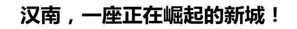 武汉最新示范区,武汉真正的核心区