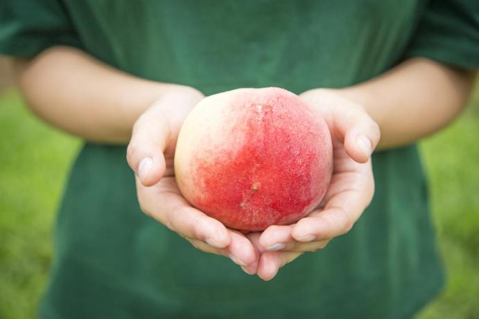 叮！你有一份夏季吃桃指南请查收