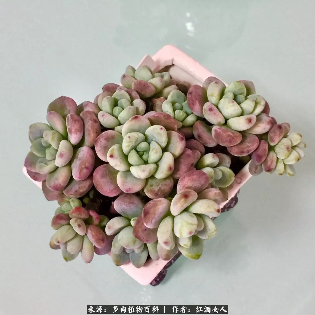 记录走过的美景留下美好的回忆,记录走过的每一段美好时光