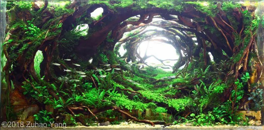 造景如何看起来有层次,十个最好看的造景