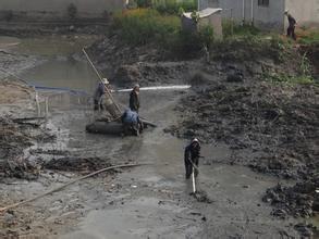 解密65年黄河巨龟,黄河发现巨龟事件真相