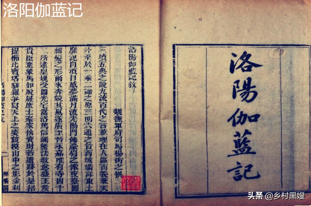 红枣的成长历程,红枣原来是什么样的