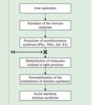 磷酸氯喹治疗新冠肺炎患者剂量,磷酸氯喹治疗新冠肺炎