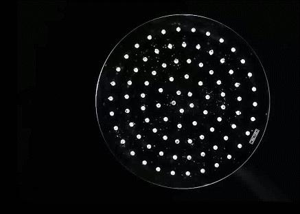 夏天就是要清爽干净舒服,夏天的清凉感