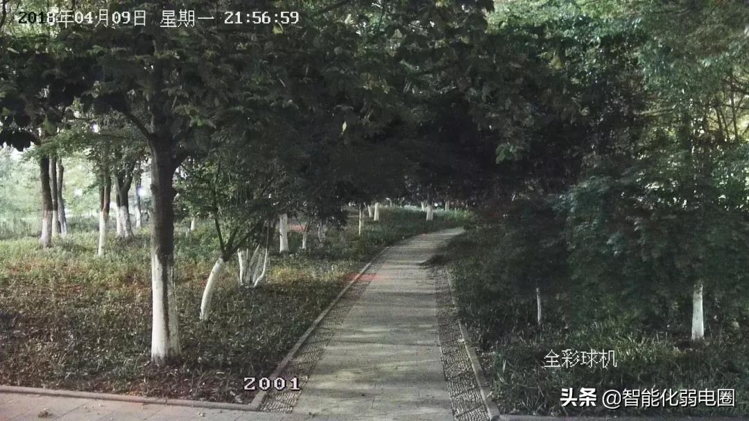 黑光全彩夜视摄像头测评,黑光全彩和全彩夜视有什么区别