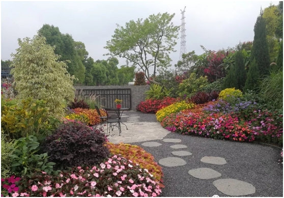 疫情期间农庄消费现状,休闲农庄目前存在共同困境