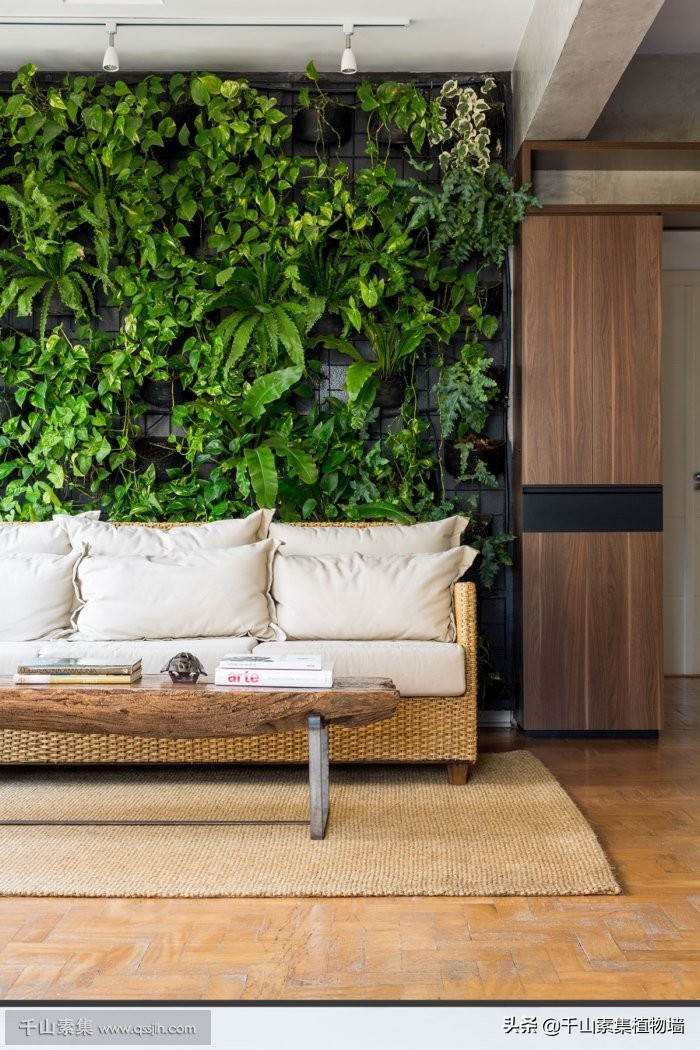 自然风格植物墙效果图,植物墙结合空间设计图