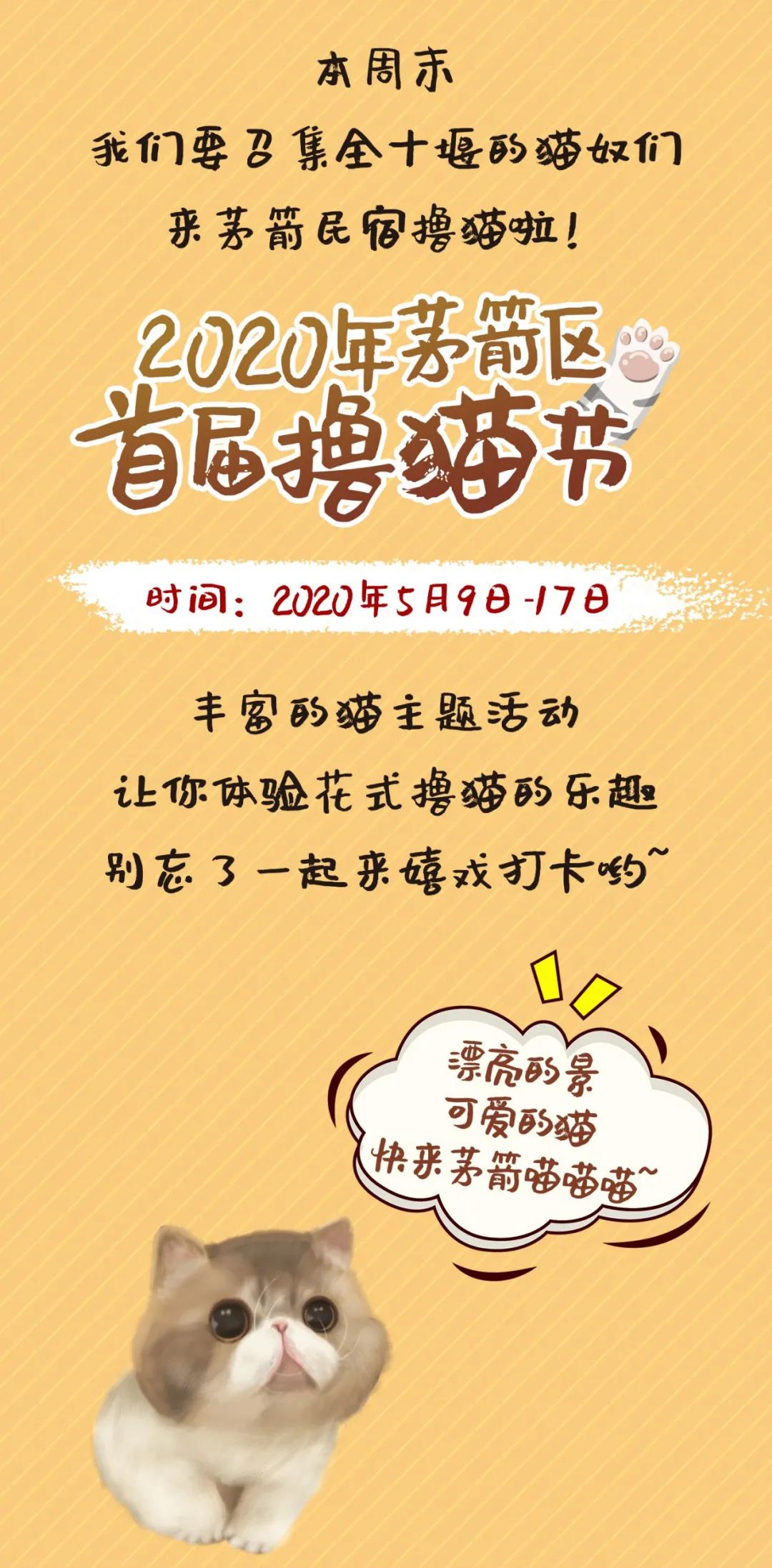 十堰市茅箭区赶集时间,十堰茅箭区约会