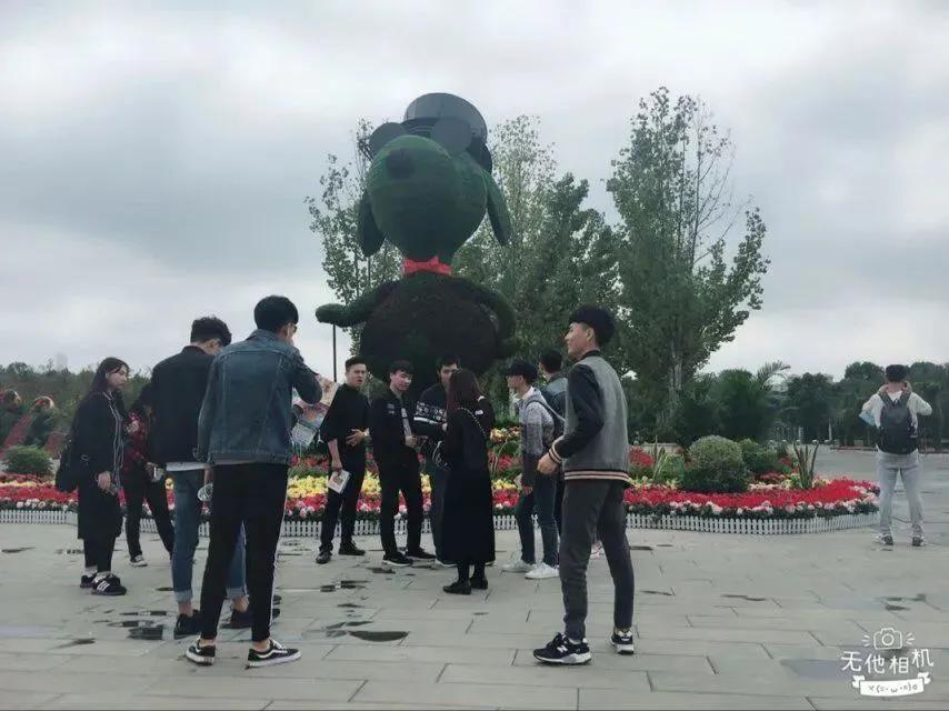 笑谈种树的艺术——看园林专业的魅力