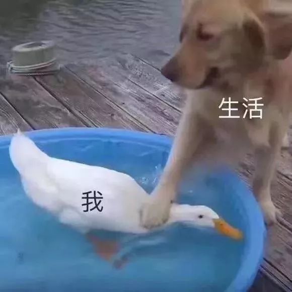 适合皮肤干容易出痘的面膜,长痘泛红肤色暗沉面膜