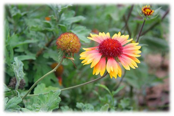 蔚蓝的天空借景抒情,蔚蓝的天空的优美比喻句子