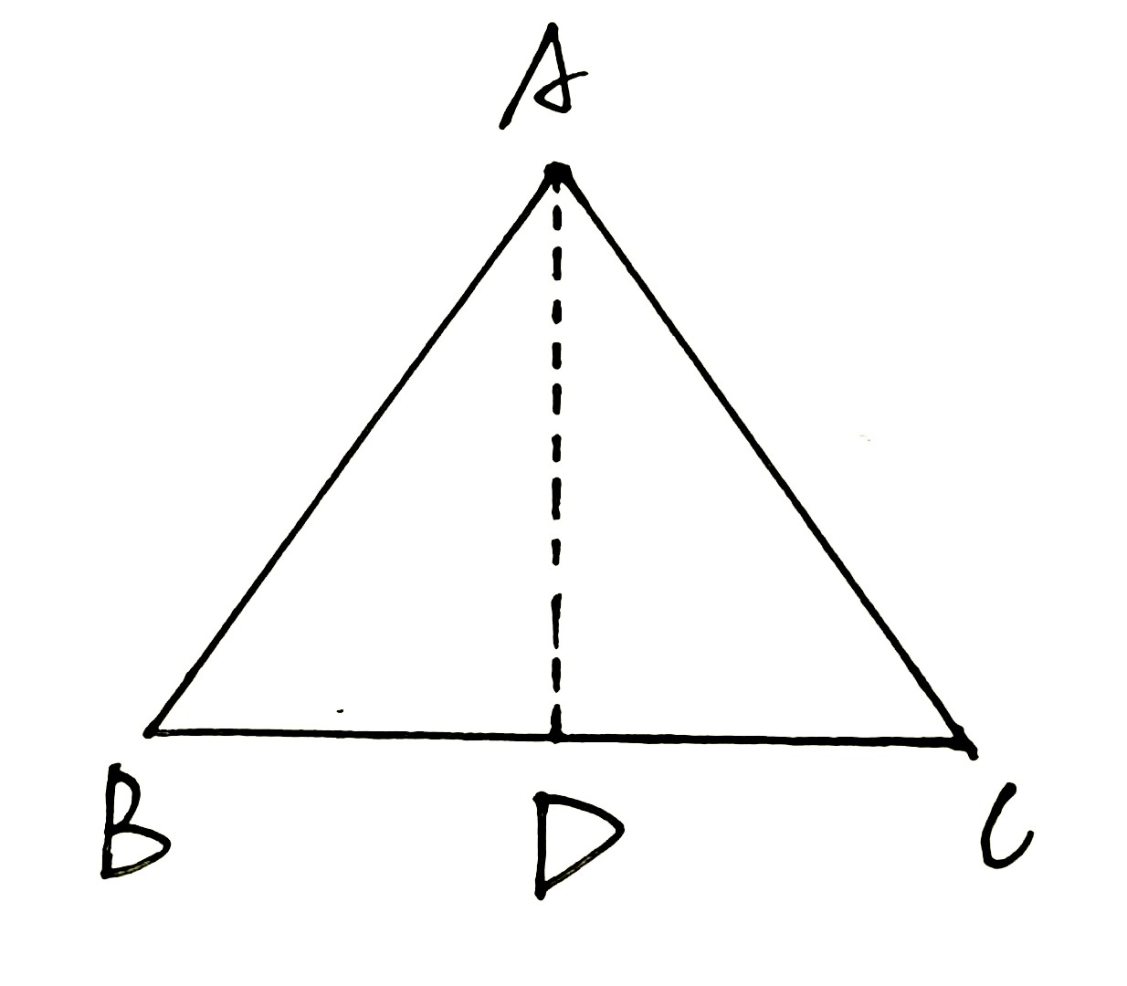 初二数学三角形知识点笔记,初中数学三角形全等知识点
