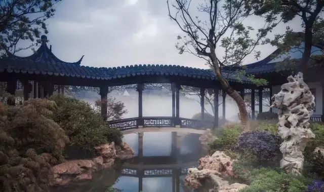 院子风景真美,中国人的院子