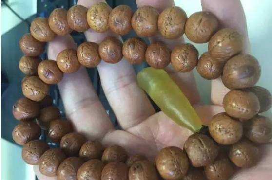 凤眼菩提手串脏了还能盘吗,凤眼菩提也会玩碎吗