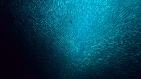 出手又是9.6，洗眼神作，美到窒息