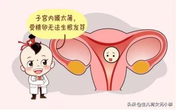 子宫内膜是生命的土壤，它到底是怎么回事？是如何发挥作用的？