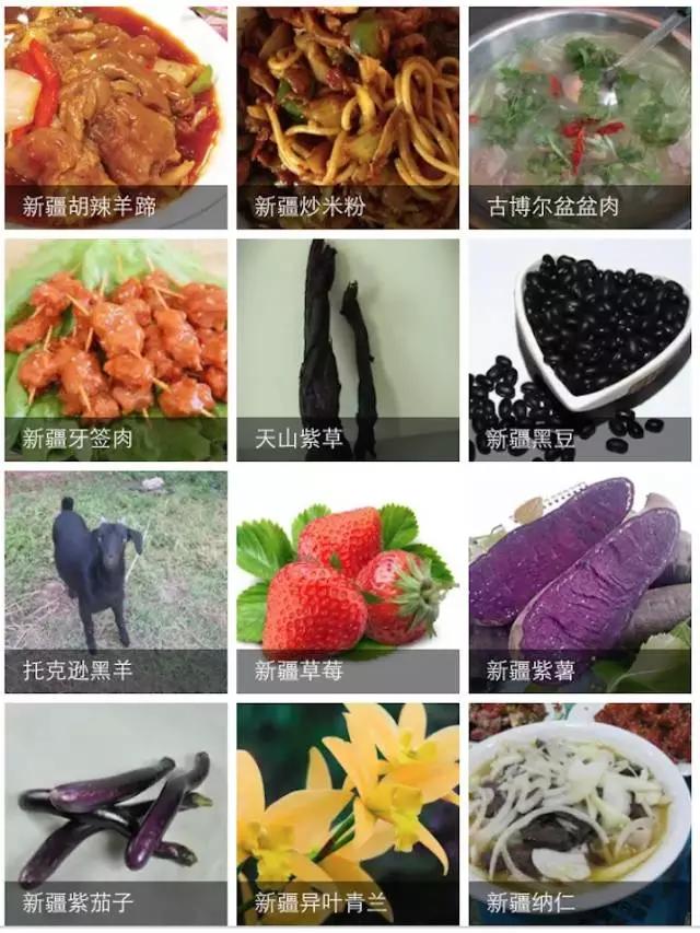 谁整理的新疆特产太全了,新疆特产满疆骆驼奶贝