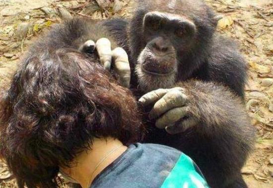 以前农村生活有虱子,为什么以前人长虱子现在没有虱子