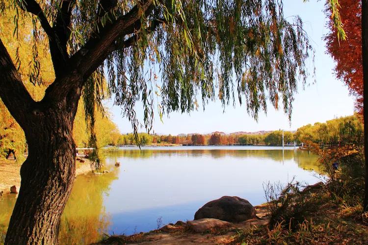 单反快速入门索尼,单反自动挡是哪个