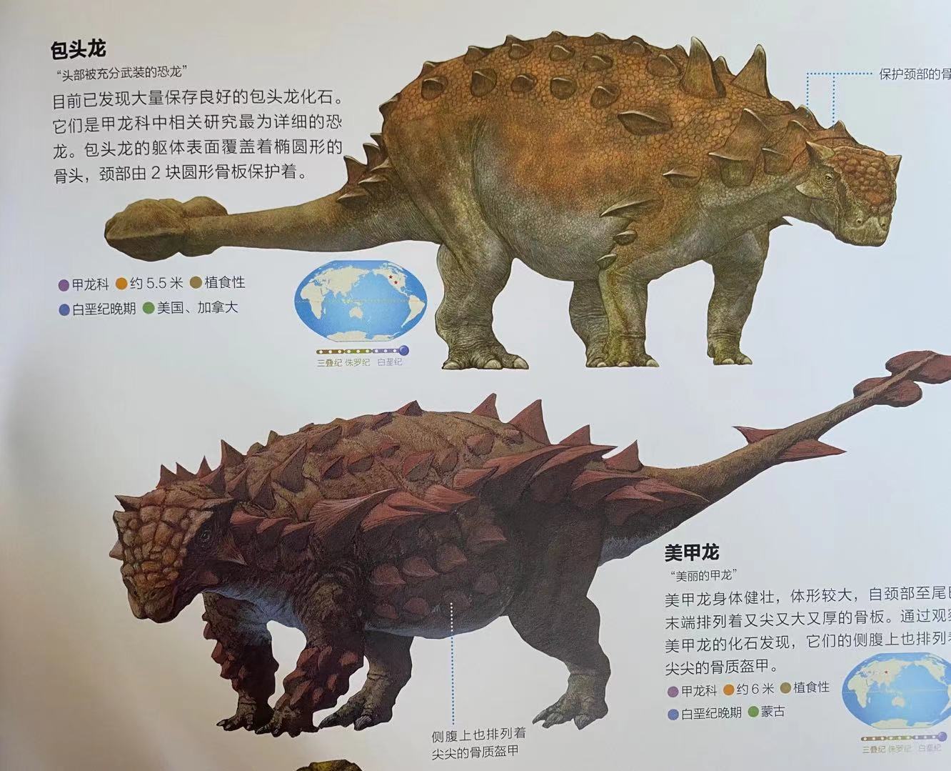 恐龙小知识书,恐龙探秘儿童恐龙百科全书