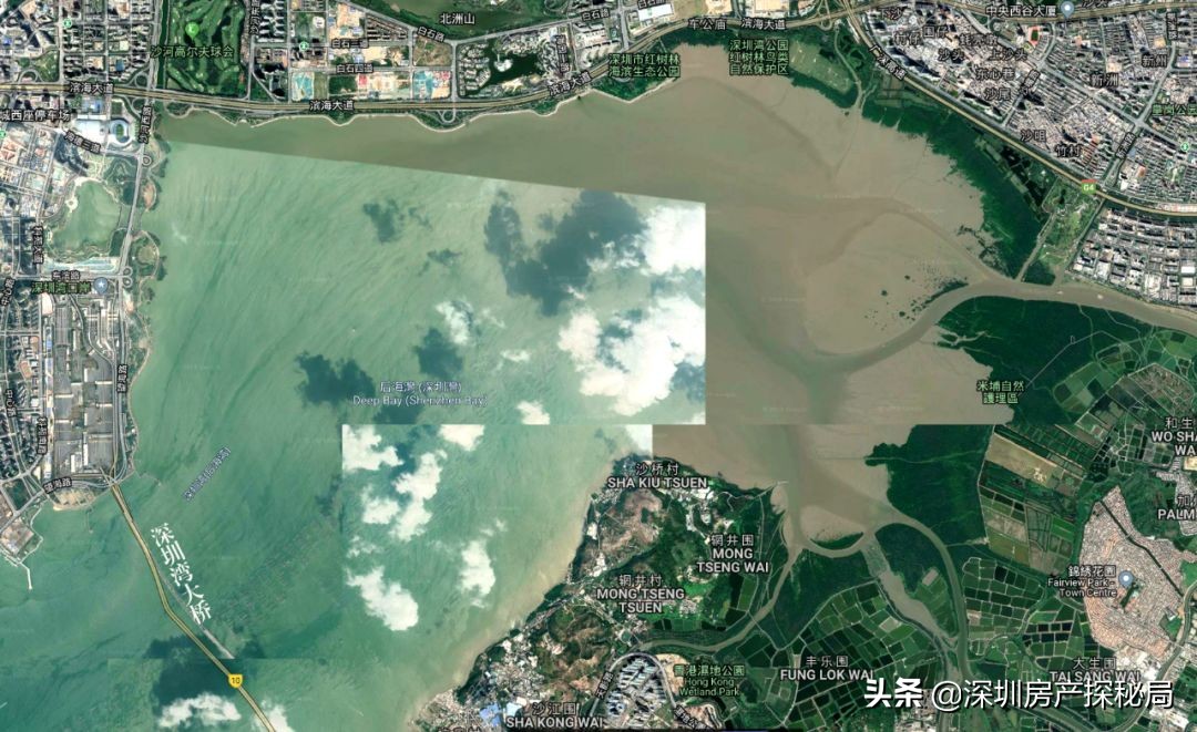 深圳湾的前世今生,深圳湾前身是什么村