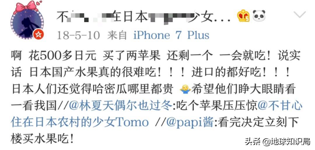日本西瓜200人民币一个？这背后不为人知的是……|地球知识局