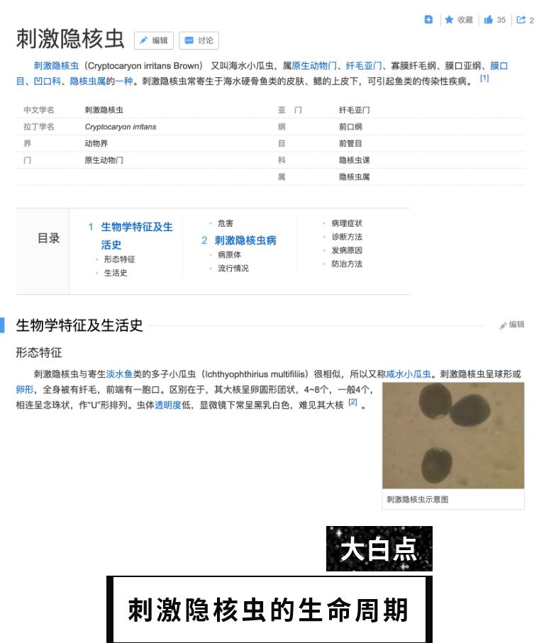 如何拯救海洋,该怎么拯救大海