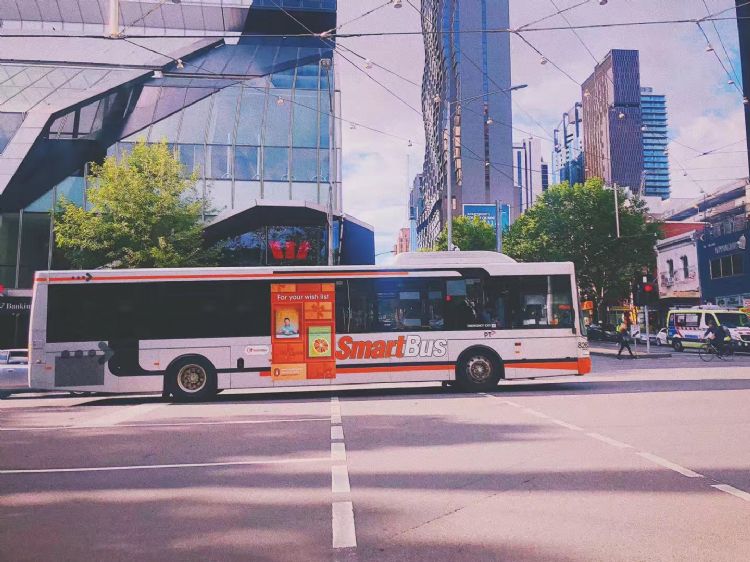 无奇不有!盘点南澳州那些小众又高薪的职业