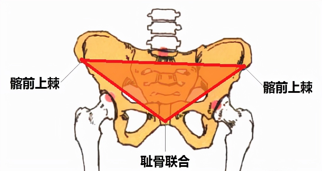 一场比赛所有选手都拉伤,短跑运动员比赛中骨折