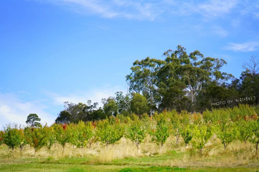 去哪里旅游可以看南极企鹅,旅游攻略南极看企鹅
