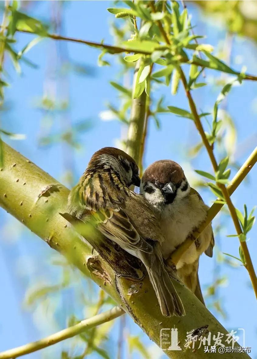 有序开放室内景区,有序开放的公园