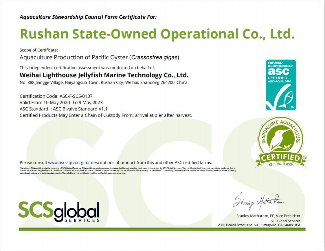 灯塔水母真相,灯塔水母解剖