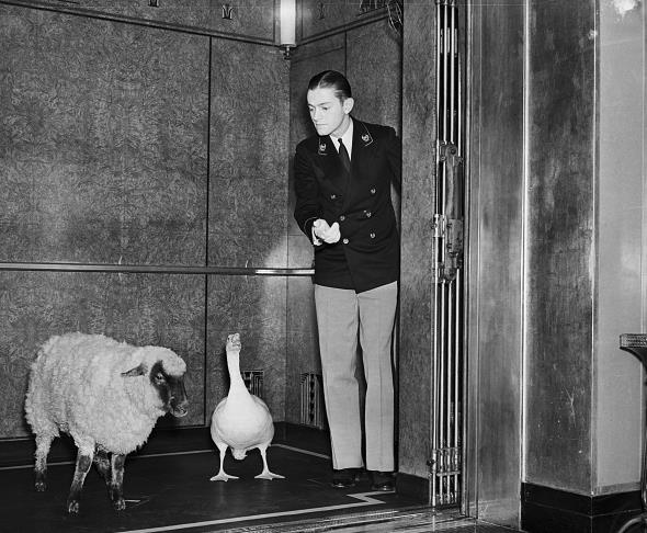 2030年将消失的职业,21世纪消失的职业