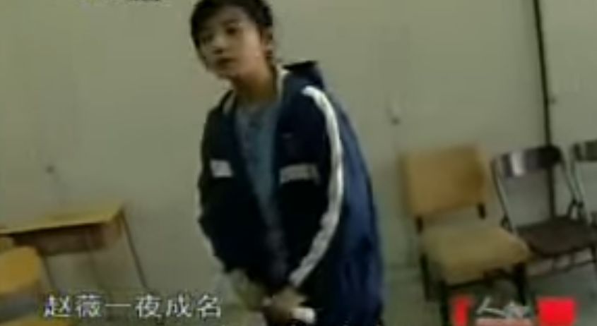 赵薇亲和力,赵薇的热度