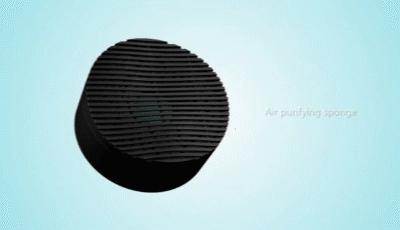 日本除甲醛豆子,日本甲醛清除剂真的有效吗