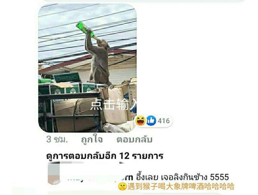 大型阉割现场，泰国猴哥一日之间集体变太监