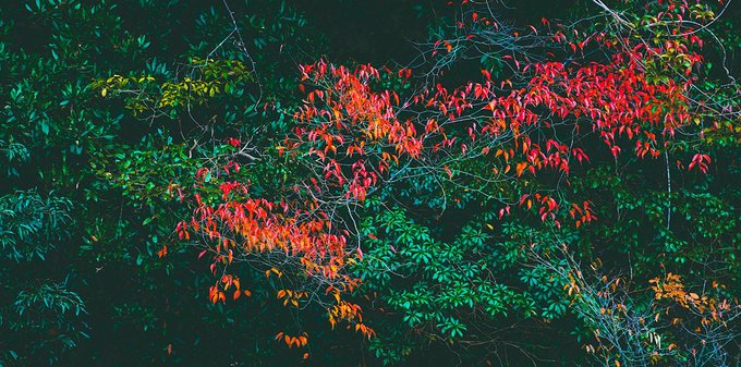 一起游玩泰顺,小众旅游泰顺