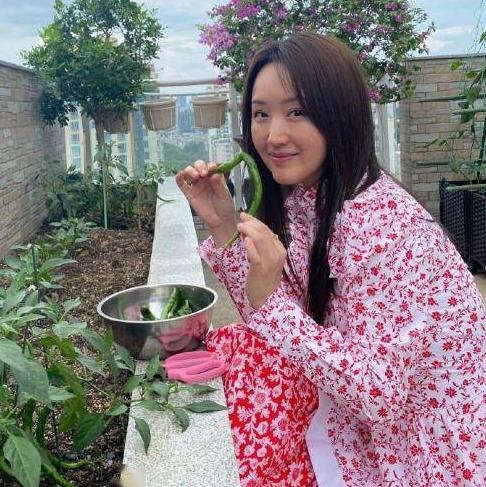 歌星毛宁的现状,歌星毛宁现状如何