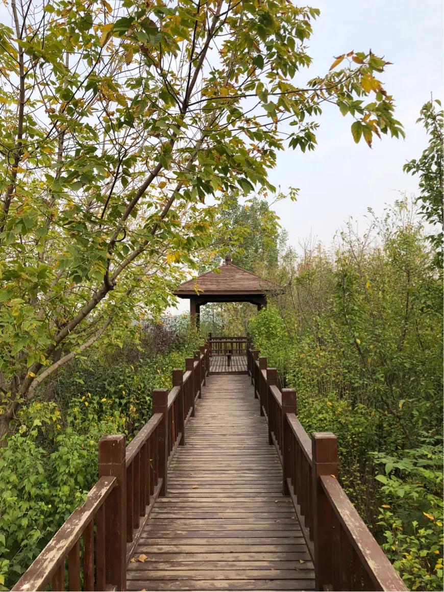 郑州免费公园树木园,郑州树木园开放