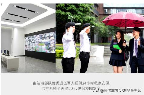 鲸帆dse国际,鲸帆dse国际学校创作人