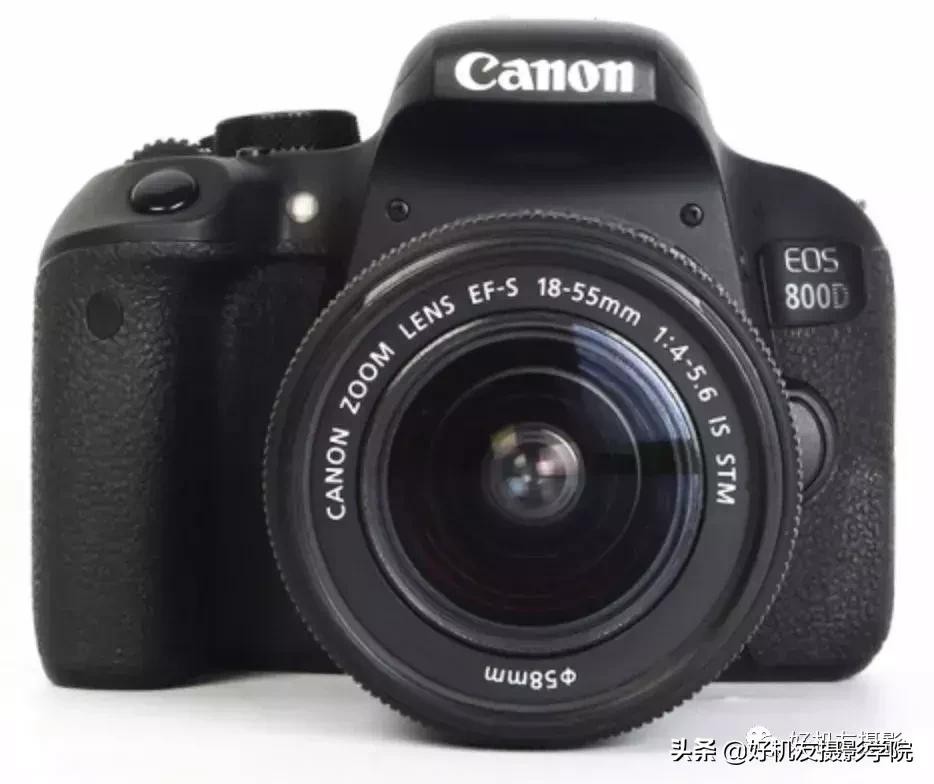 拍鸟最佳相机镜头配置,相机拍鸟技巧图解