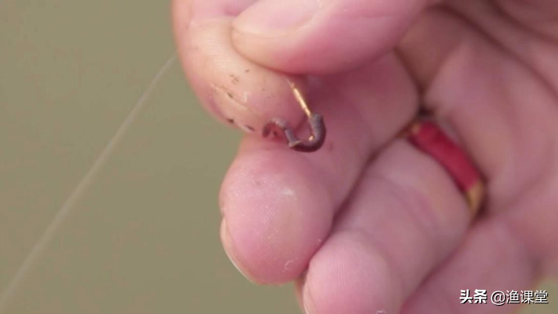 钓鱼挂蚯蚓的正确方法图解,钓鱼正确挂蚯蚓方法