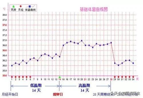 疫情期间在家怎么测试排卵,疫情期间怎么自己在家测胎心