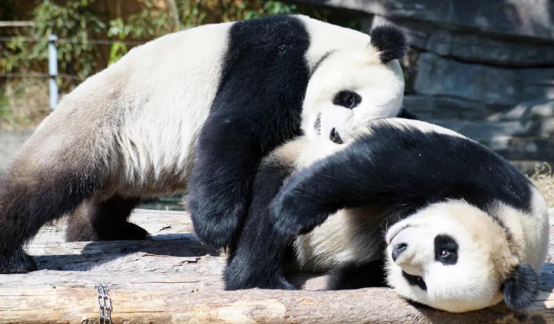 推荐几个宁波好玩的地方,宁波适合短途旅游的地方