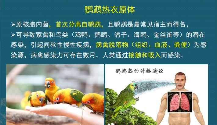 年轻人参观养鸡场，一个动作让他住院20天，损失3万块